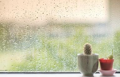 rain against window