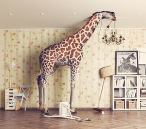 Giraffe in Apartment-603907742