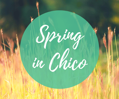 What To Do While Apartment Living in Chico During Spring-featured