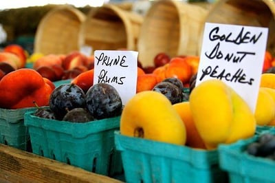 Summer of 17' Living in Chico Events-featured