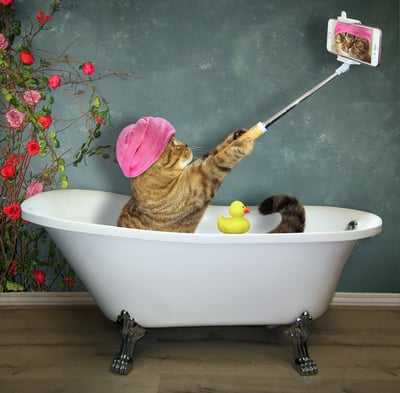 Best Selfie Spots in Chico-featured