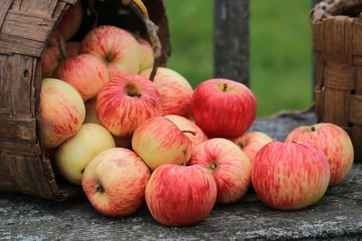 Let's Bake! It's All About Apples This Fall-featured