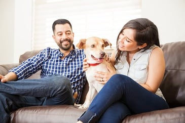 couple on couch with dog