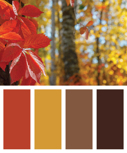 Fall Decorating with Hignell Rentals [Part 1]