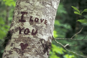 I love You in Tree Trunk