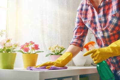 Rental Living Tips to Get You in the Mood for Spring Cleaning-featured