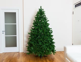 plain christmas tree