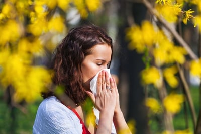 Dealing With Springtime Allergies When Living in Chico or Redding-featured
