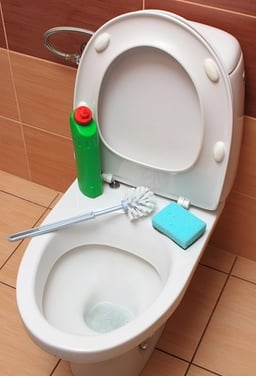 Toilet with cleaning supplies