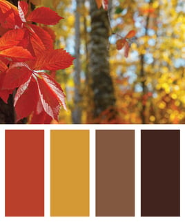 fall colors 1