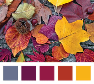 fall colors 2