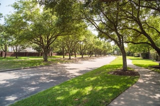 neighborhood street with trees