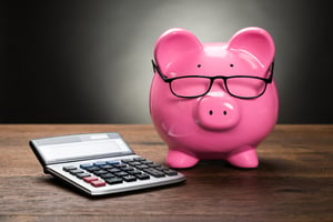 piggy bank budget